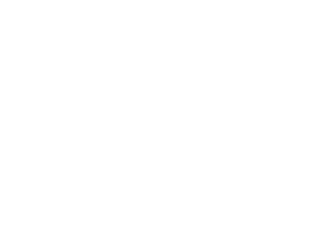 logo felline